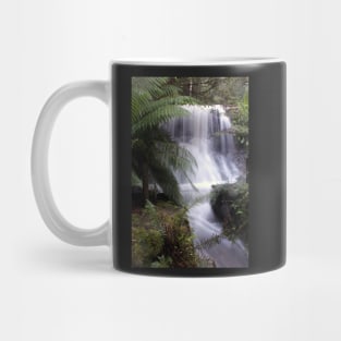 Silver Falls, Hobart, Tasmania Mug